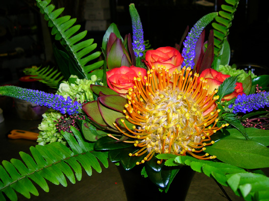 pin_cushion_lilies